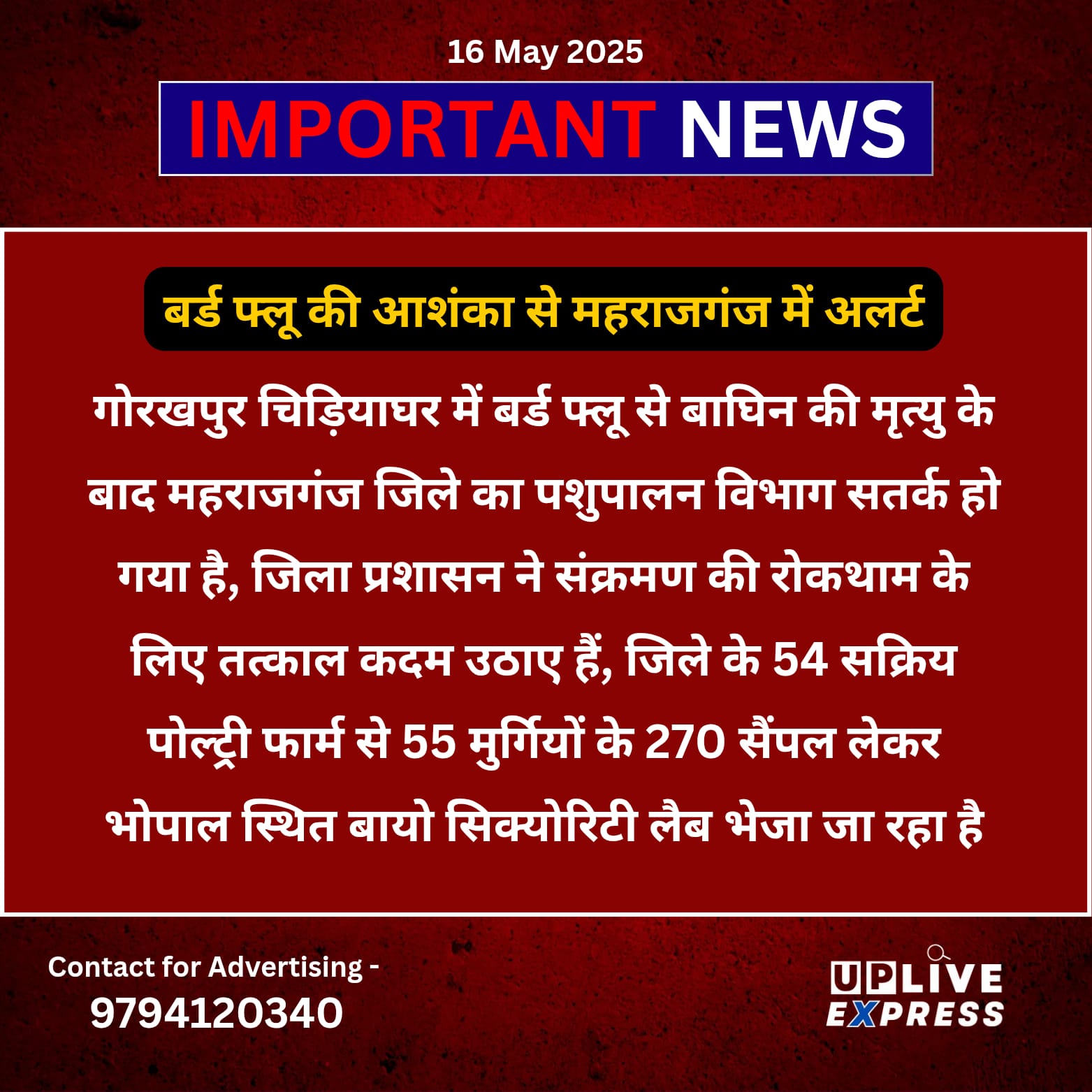बर्ड फ्लू की आशंका से महराजगंज में अलर्ट