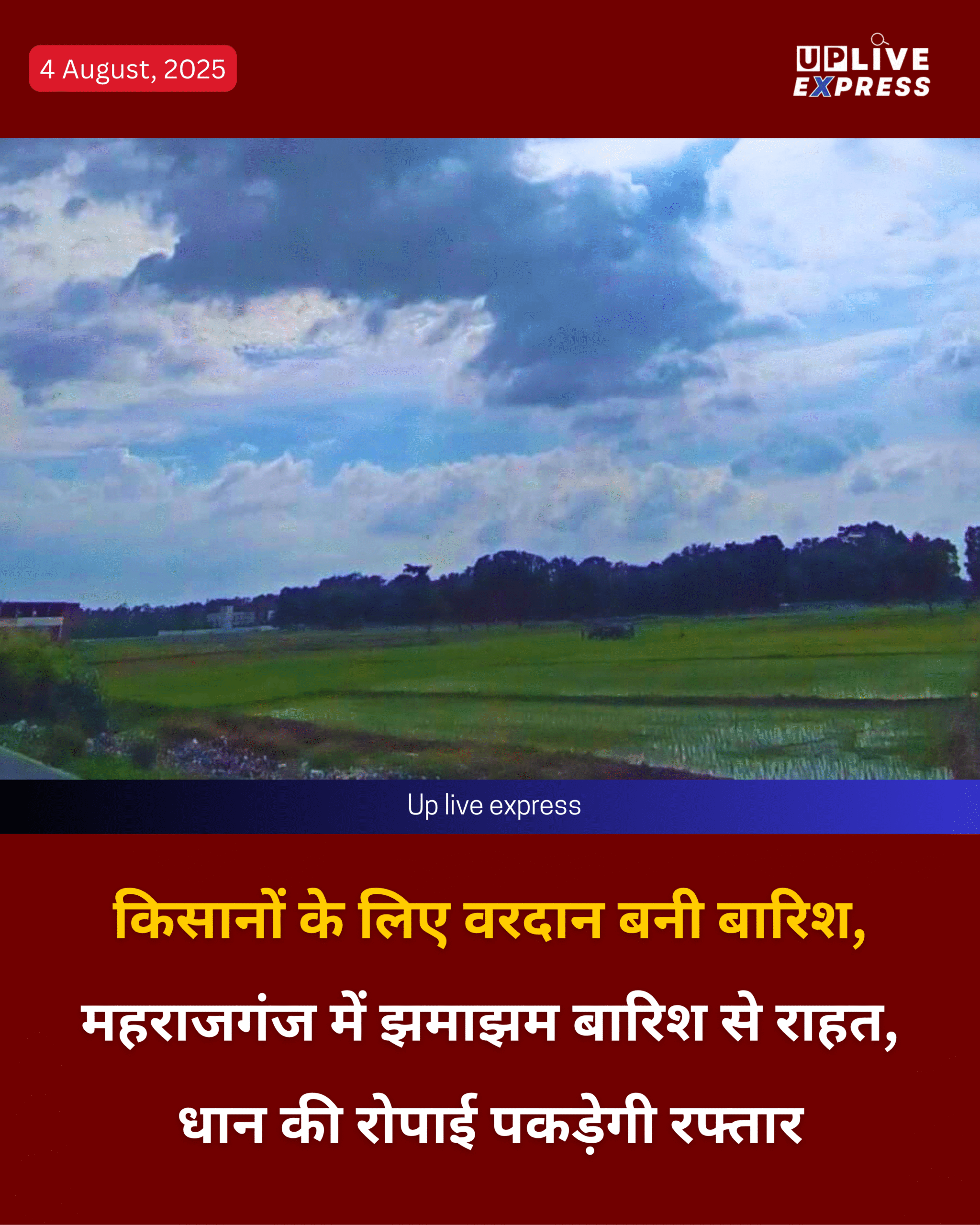 किसानों के लिए वरदान बनी बारिश, महराजगंज में झमाझम बारिश से राहत, धान की रोपाई पकड़ेगी रफ्तार :
