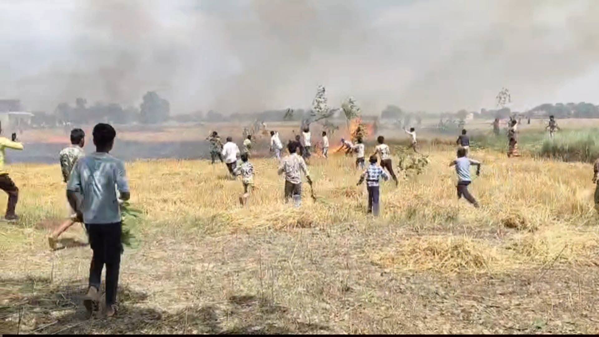 सिद्धार्थनगर में खड़ी गेहूं की फसल में आग से मची अफरा-तफरी, बड़ा हादसा टला: